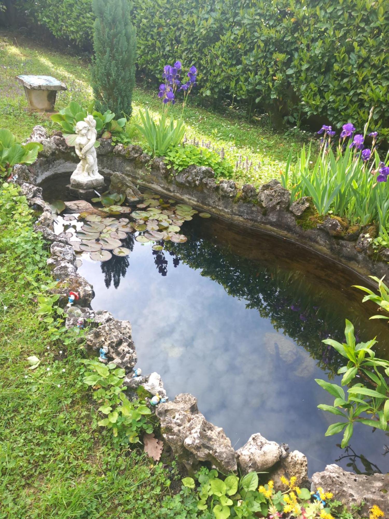 Il Laghetto Bed and Breakfast Torre Canavese Buitenkant foto