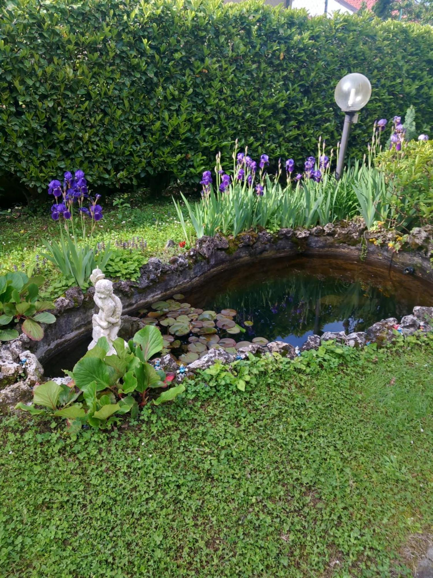 Il Laghetto Bed and Breakfast Torre Canavese Buitenkant foto